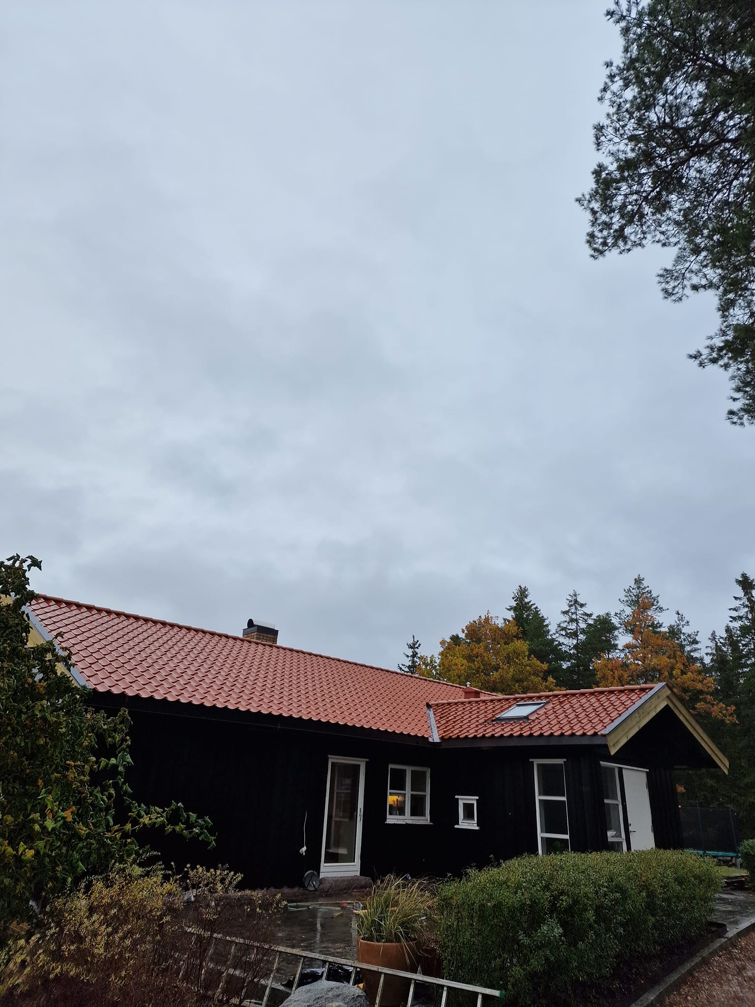 475164689_1125326469216983_1427006256343033475_n