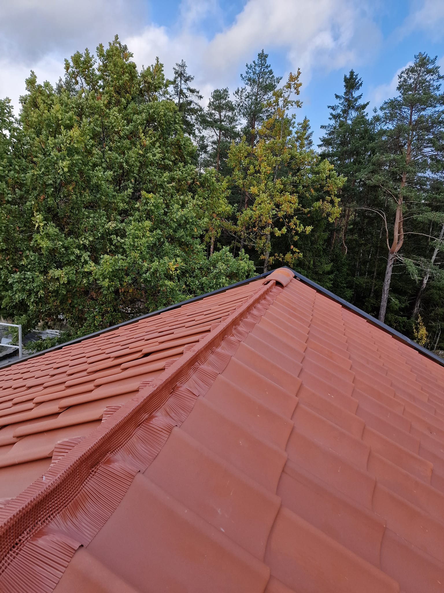 475327290_1125326422550321_4408748521018585071_n