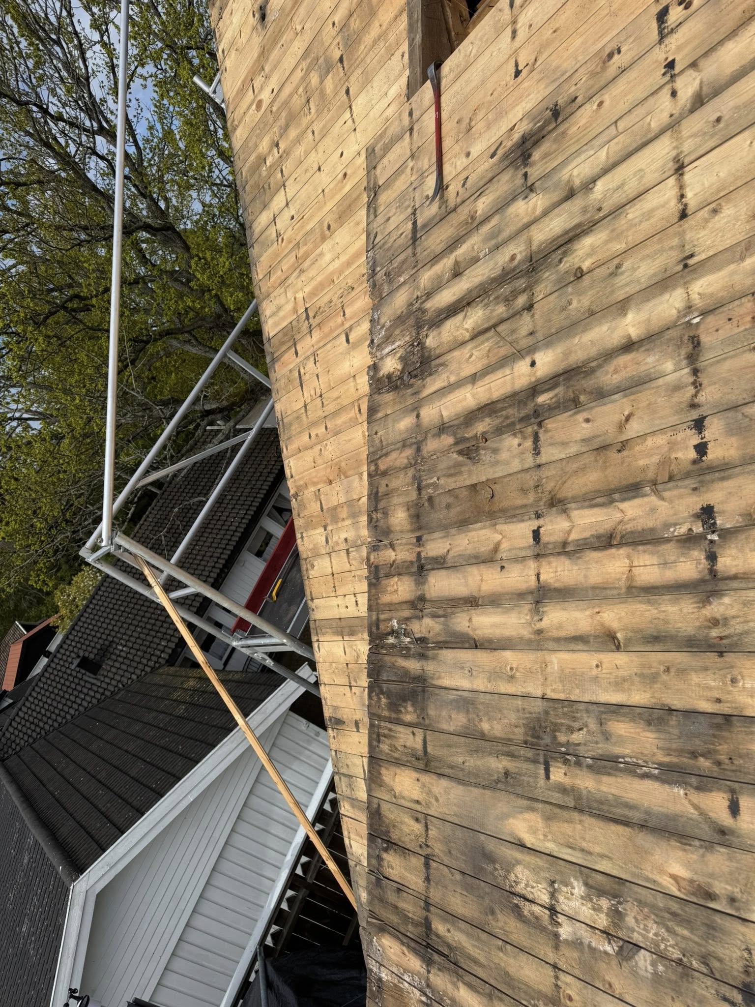 494694675_1210717140677915_4286899871111583795_n