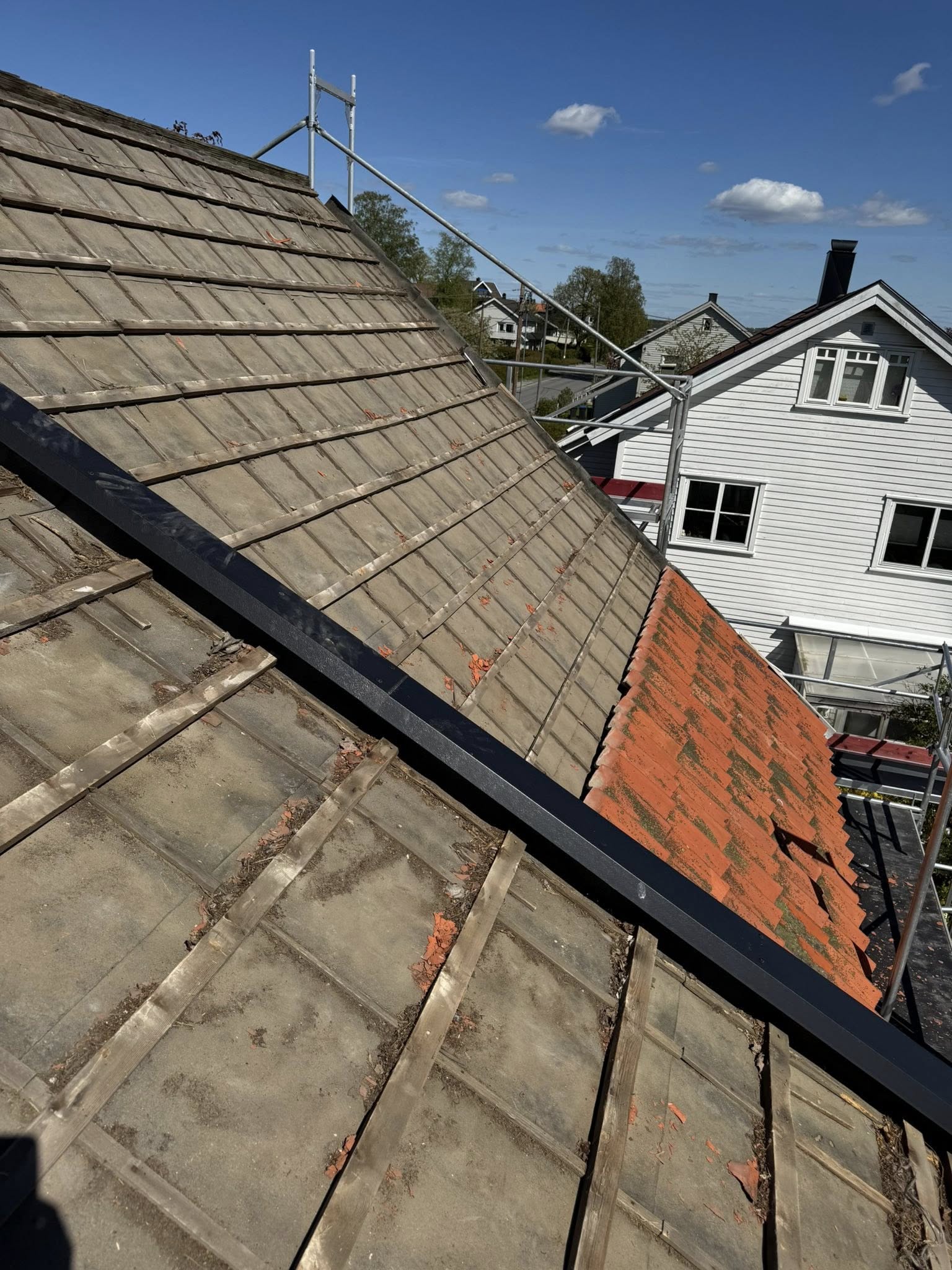 499875761_1210717137344582_8848242847278519995_n